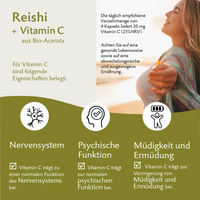 Bio Reishi – Hochwertiger Vitalpilz mit Vitamin C