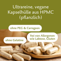 Roter Ginseng – Premium Panax Ginseng mit natürlichem Vitamin C