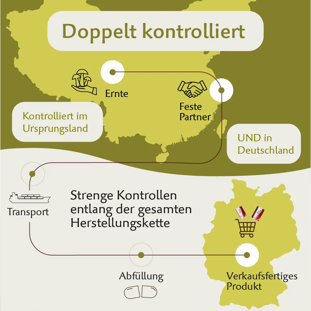 Roter Ginseng – Premium Panax Ginseng mit natürlichem Vitamin C