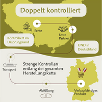 Roter Ginseng – Premium Panax Ginseng mit natürlichem Vitamin C