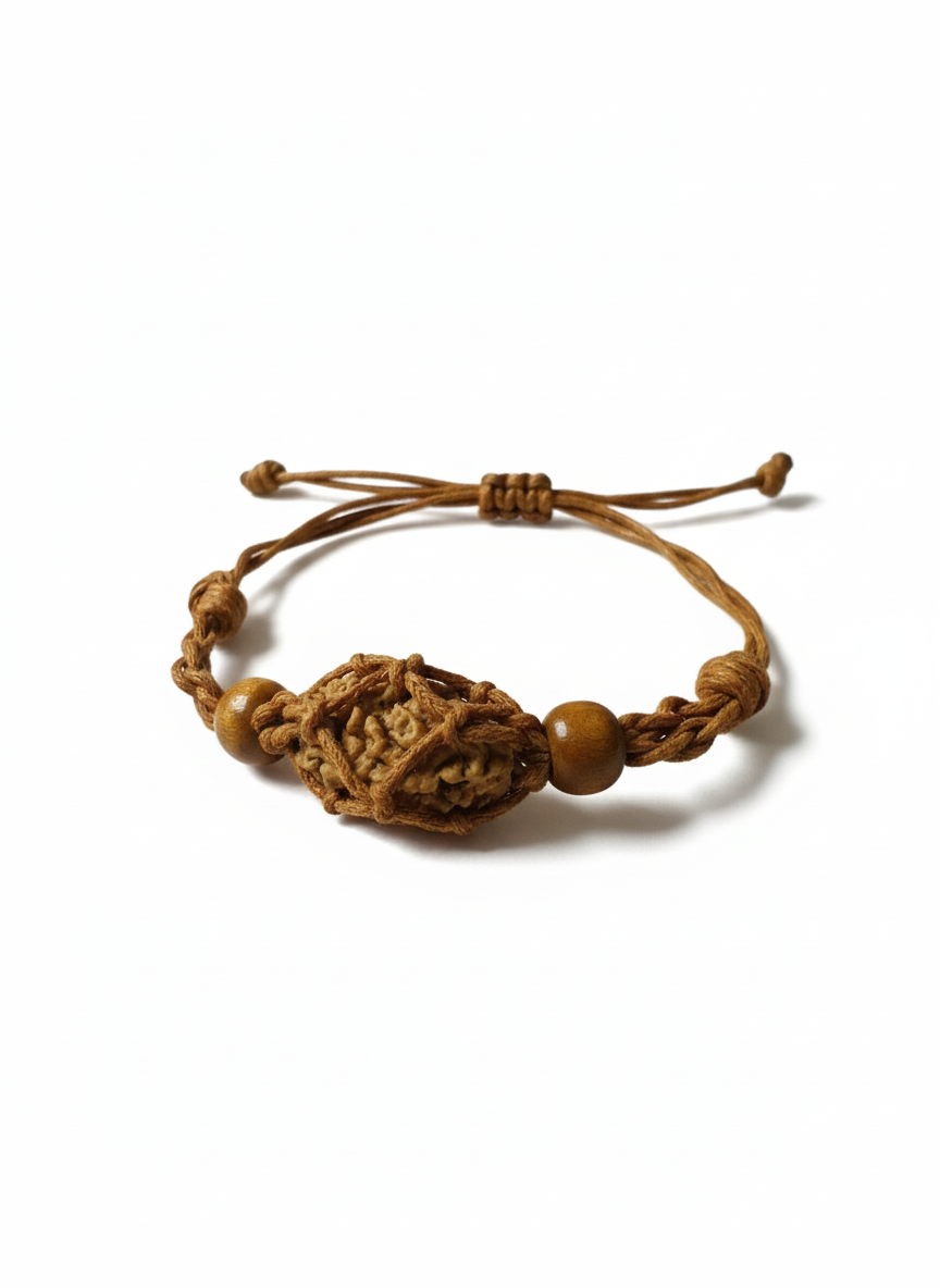 2-Augen Rudraksha (Nepal) für Einheit, bedingungslose Liebe & Harmonie groß