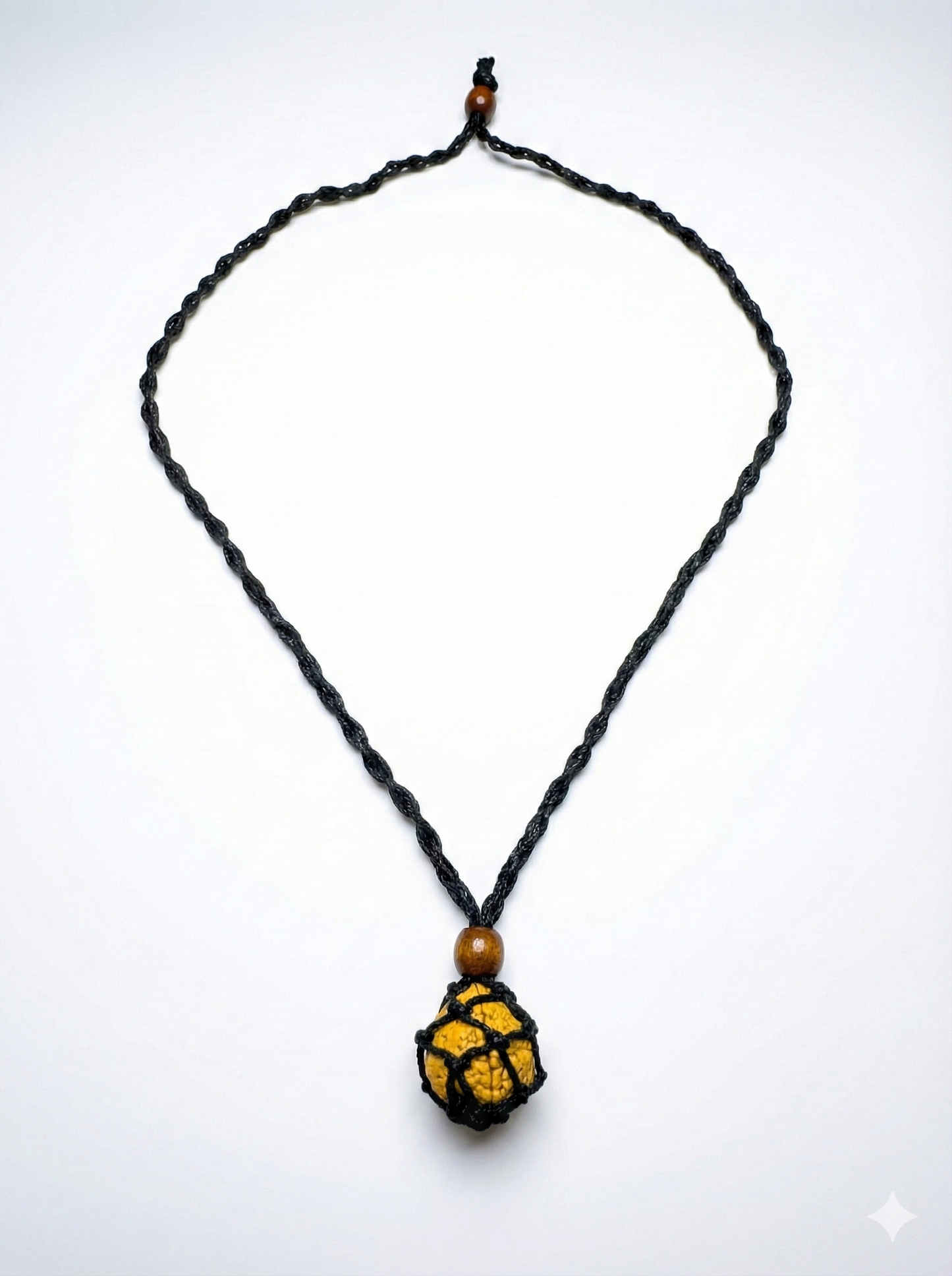 2-Augen Rudraksha (Nepal) für Einheit, bedingungslose Liebe & Harmonie groß