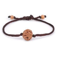 6-Eyes Ruddraksha (Java) -Creading la confiance, la volonté et protège contre le chagrin laïque