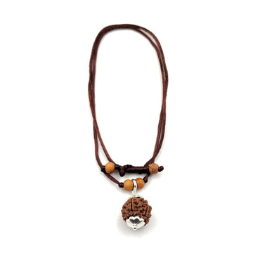 5 -eyes Rudraksha (Nepal) - balanced the five elements