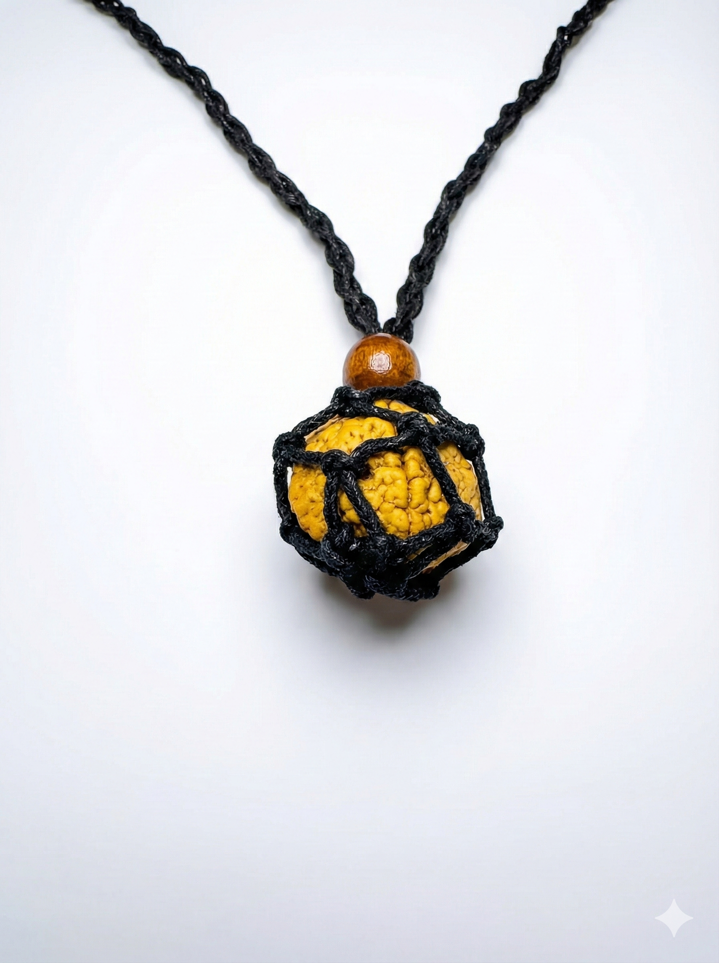 2-Augen Rudraksha (Nepal) für Einheit, bedingungslose Liebe & Harmonie groß