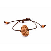 13-Augen-Rudraksha (Nepal)