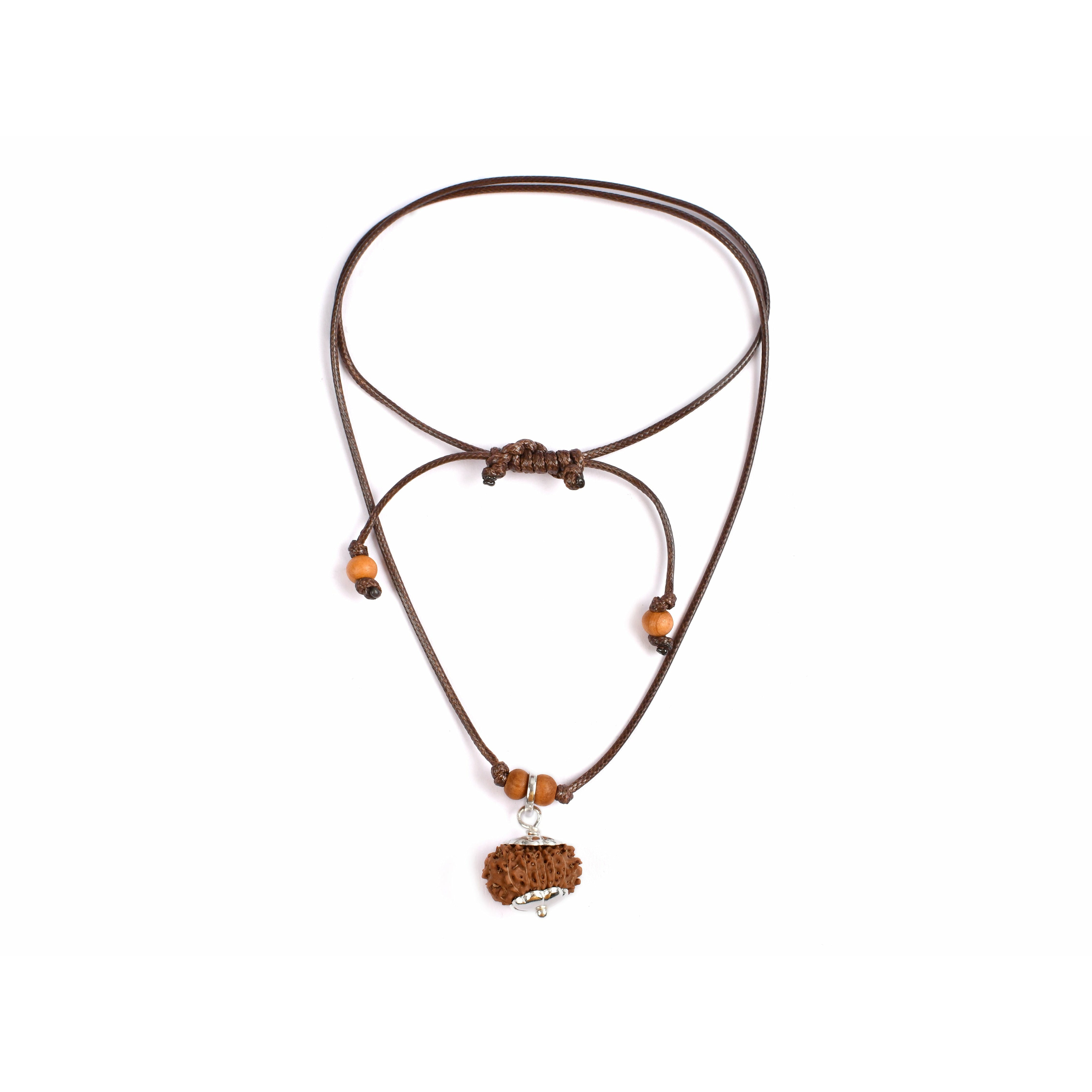15-Augen-Rudraksha (Java) 
