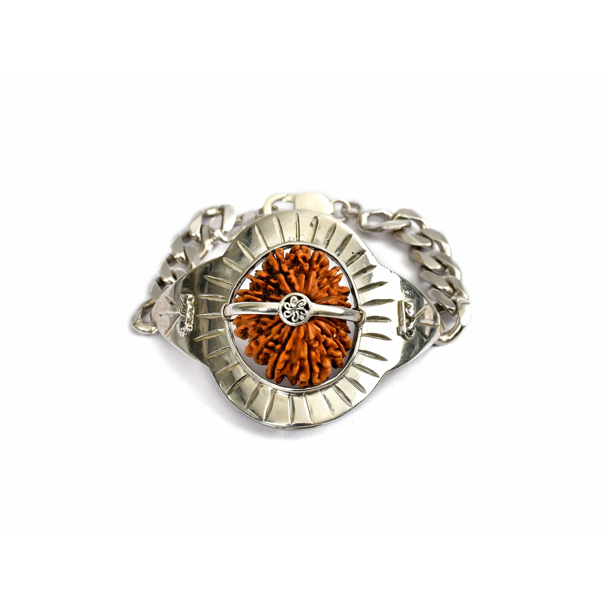 15-Augen-Rudraksha_Nepal