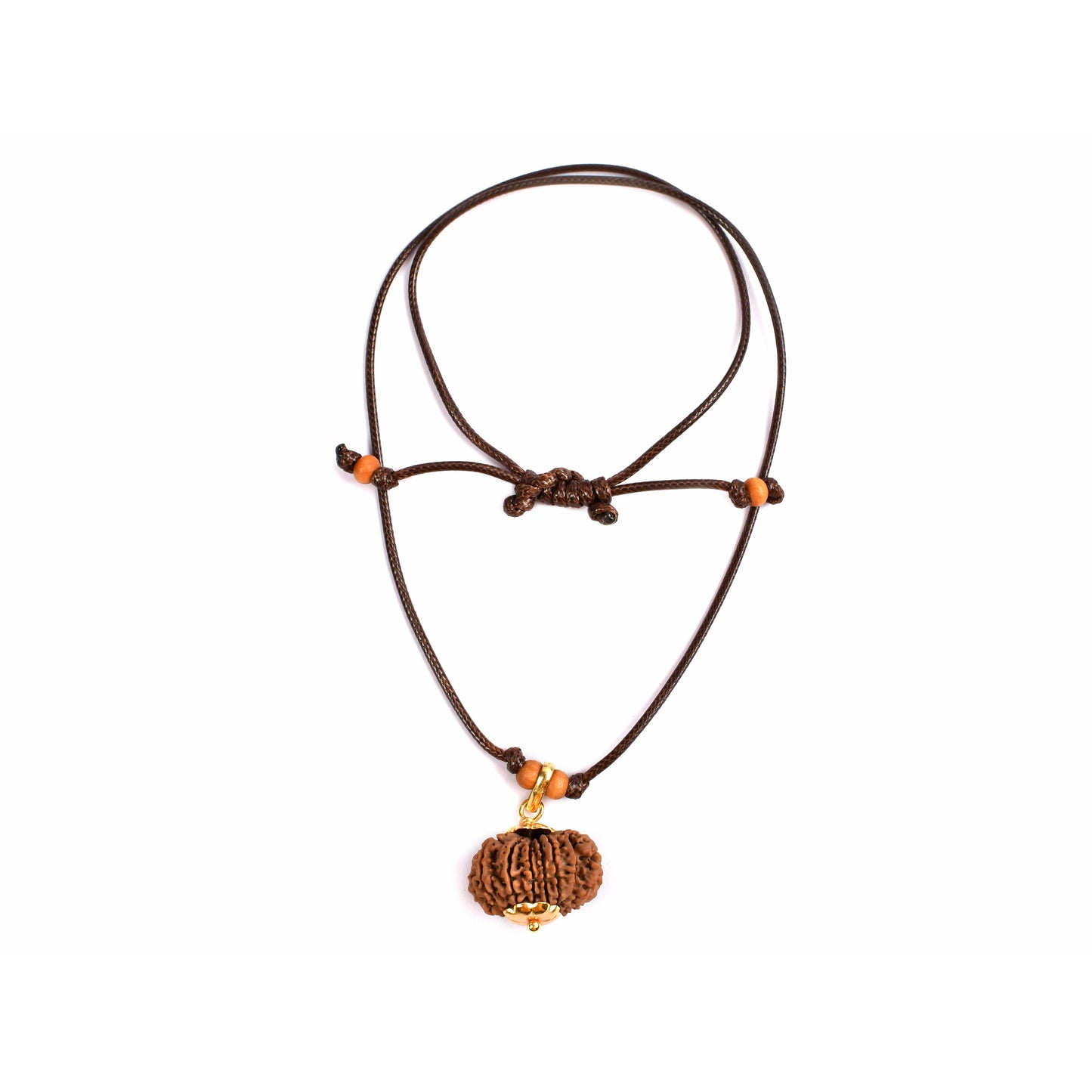 15-Augen-Rudraksha (Nepal) 