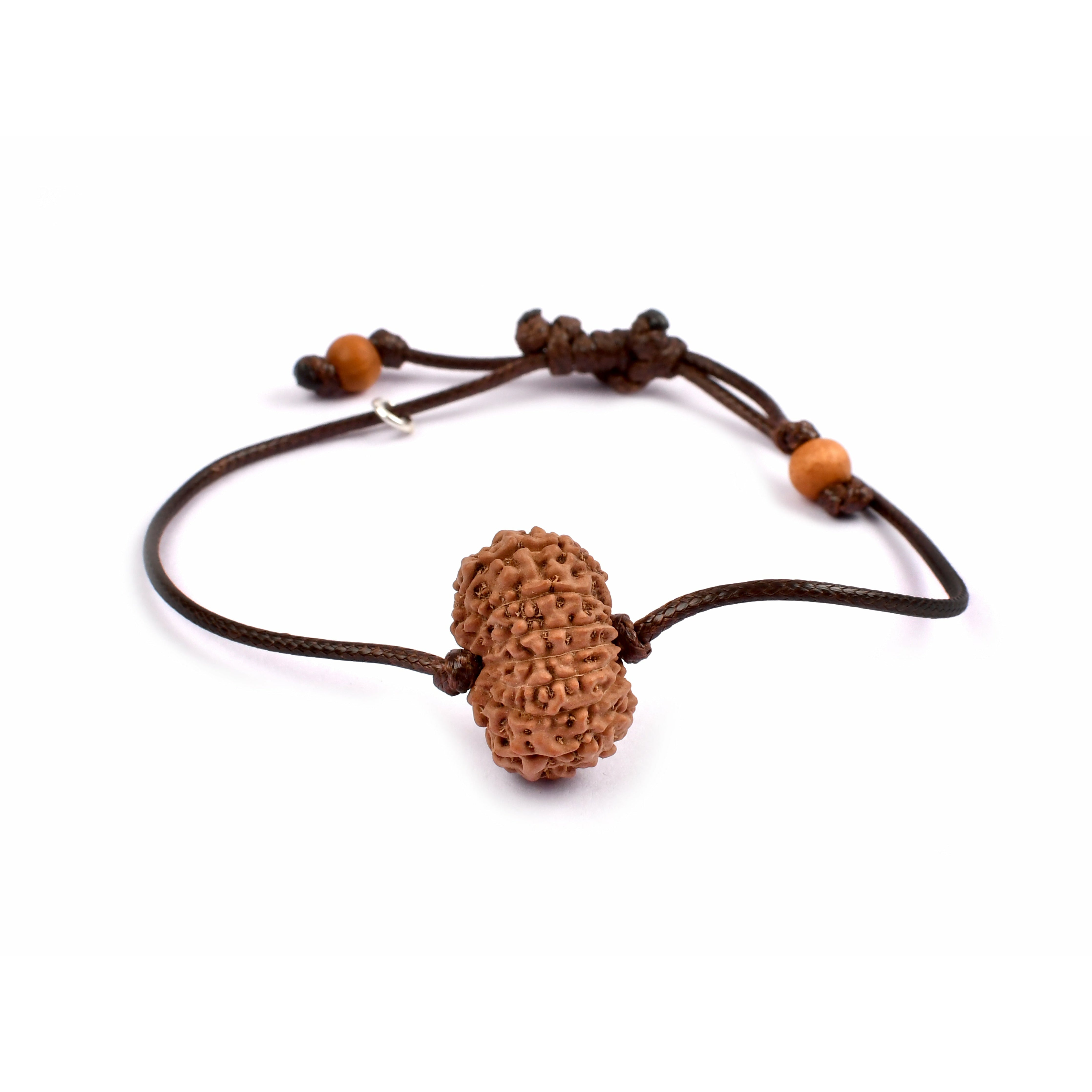 16-Augen-Rudraksha (Java)