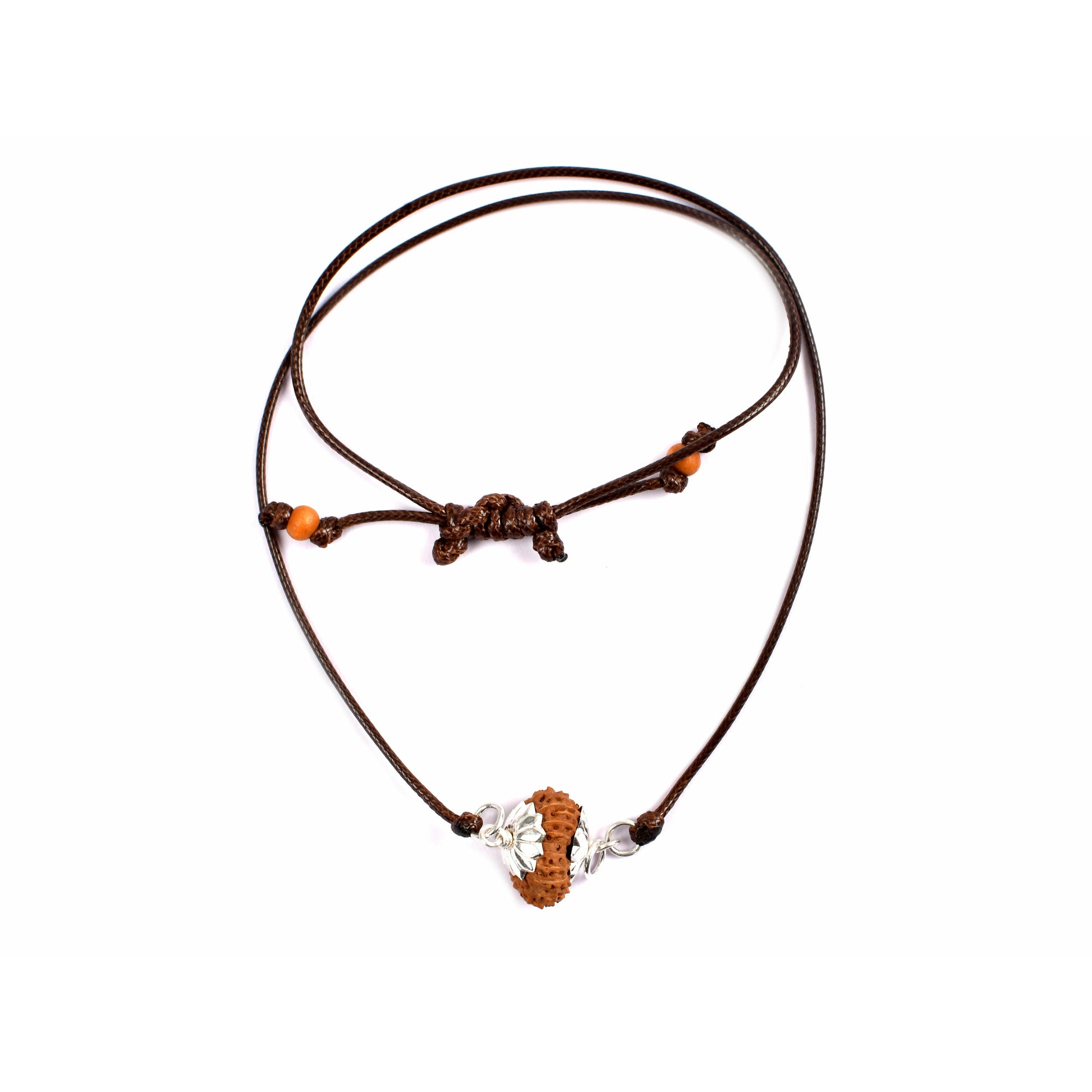17-Augen-Rudraksha (Java) 
