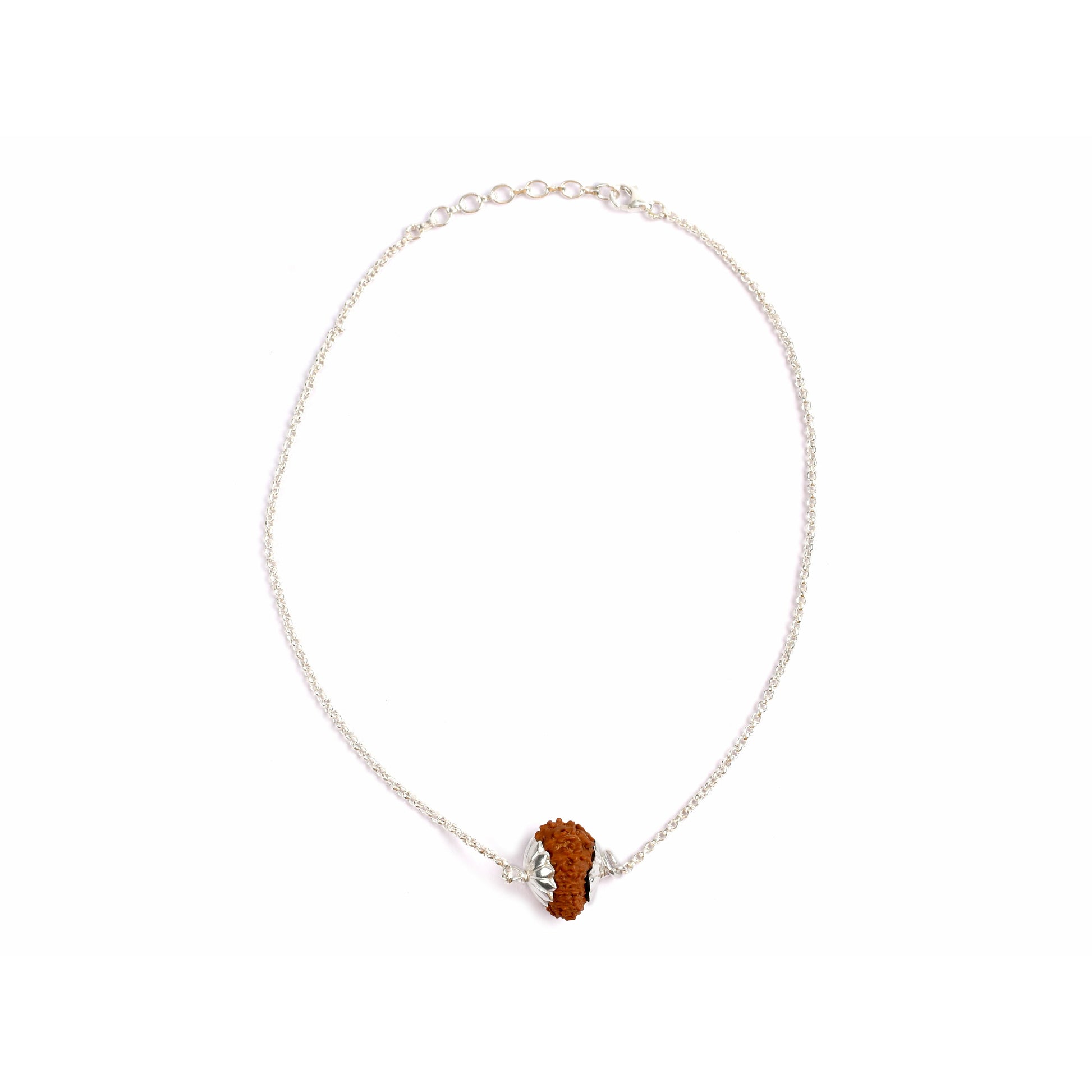 17-Augen-Rudraksha (Java) 