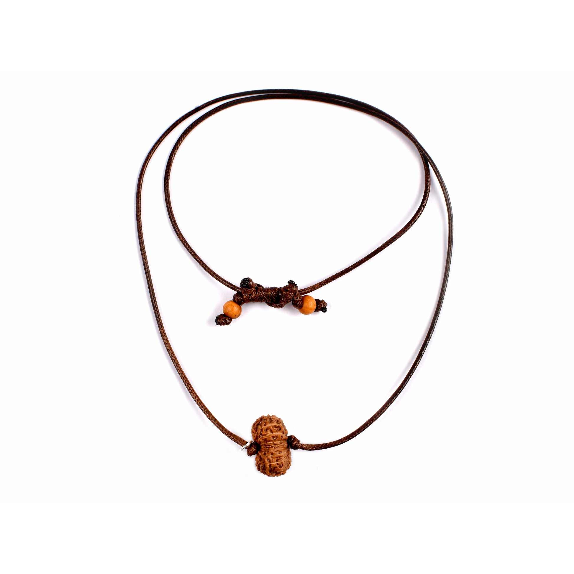 17-Augen-Rudraksha (Java) 