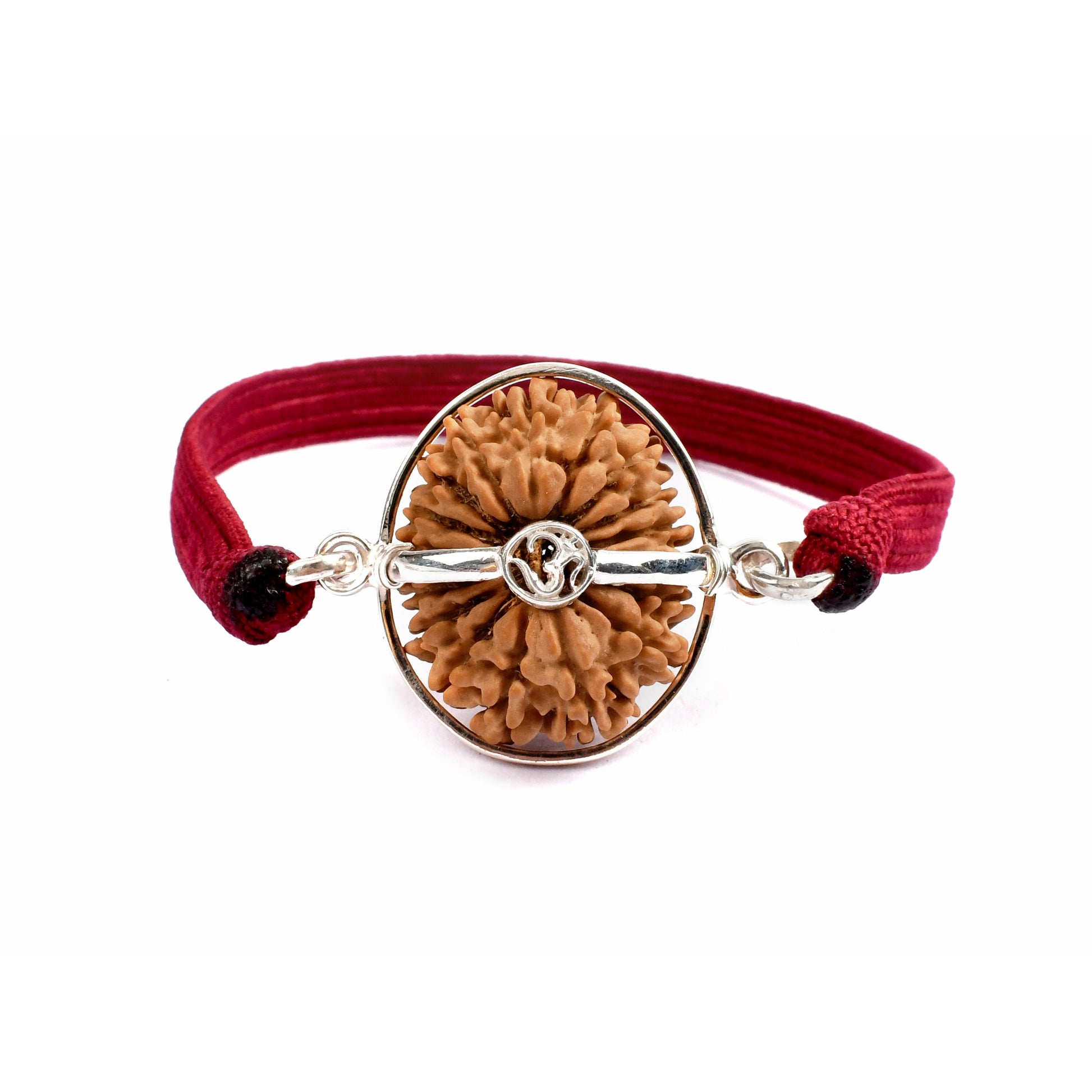 17-Augen-Rudraksha (Nepal)