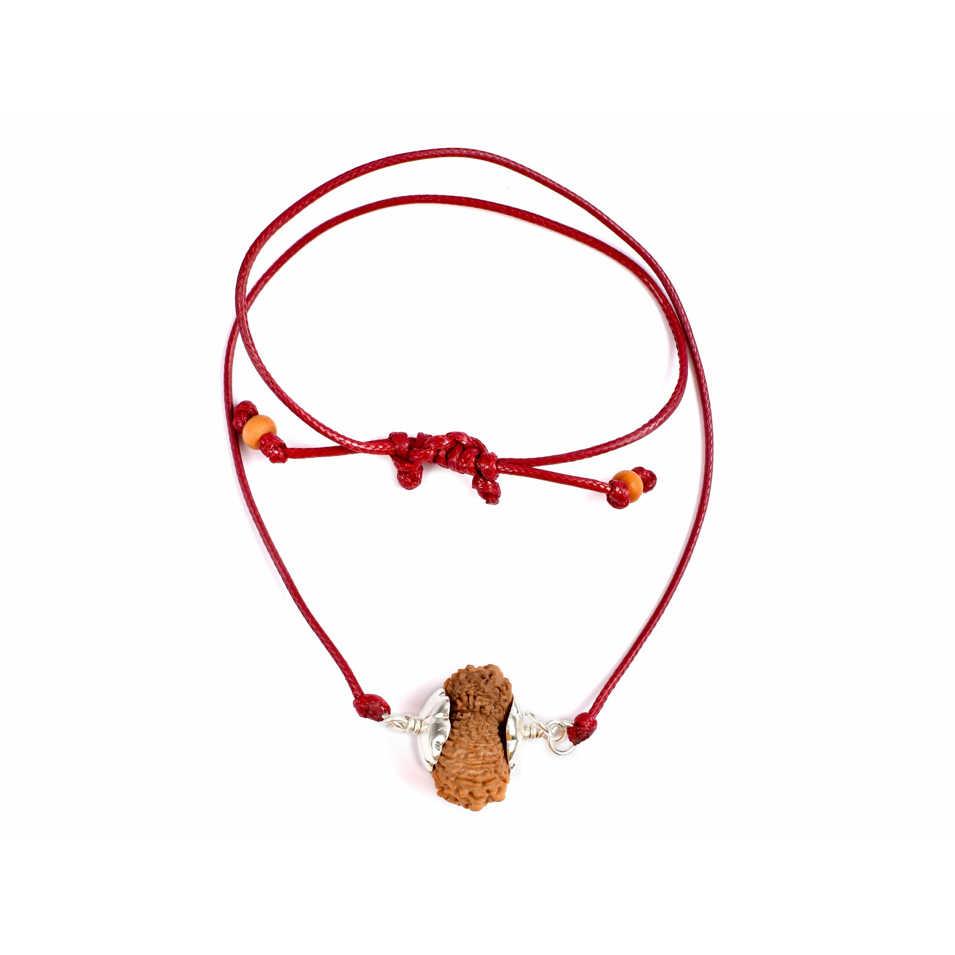 17-Augen-Rudraksha (Nepal)