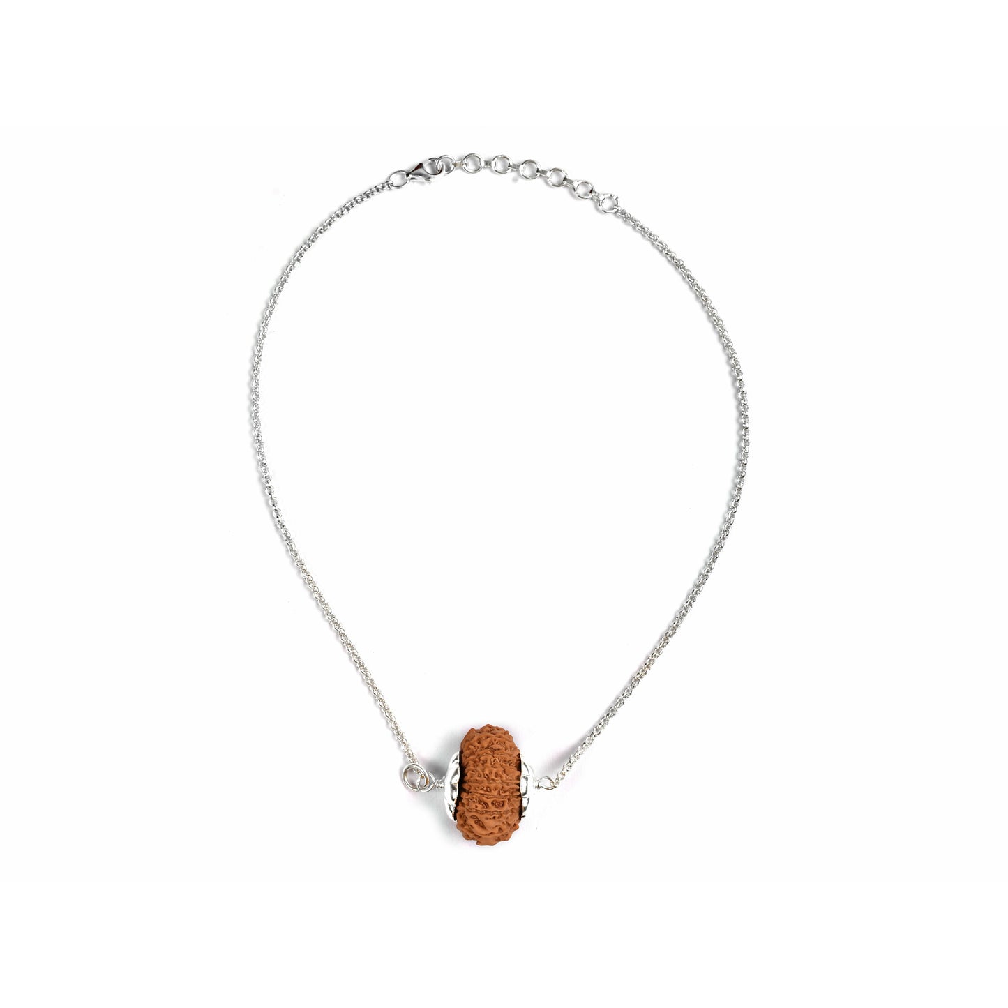 17-Augen-Rudraksha (Nepal)