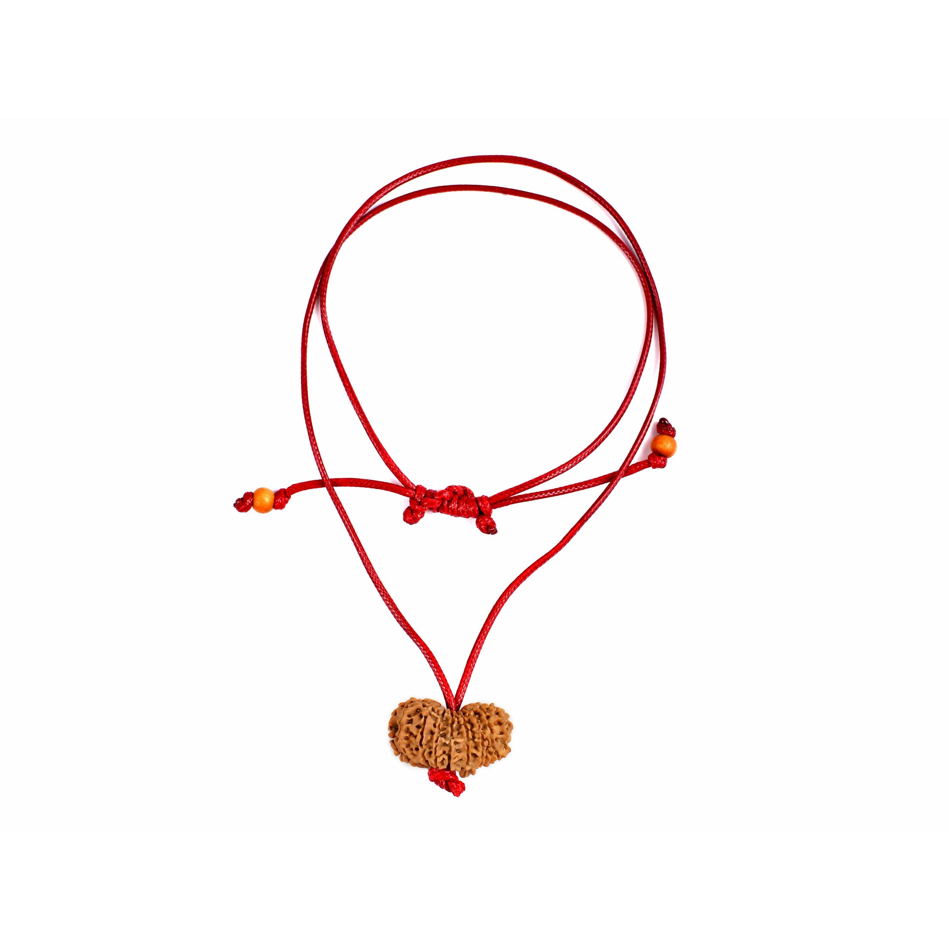 17-Augen-Rudraksha (Nepal)