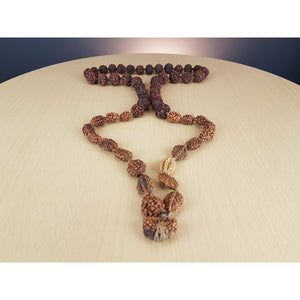 Siddha-Mala 1 - 6-Augen-Rudraksha (Nepal)