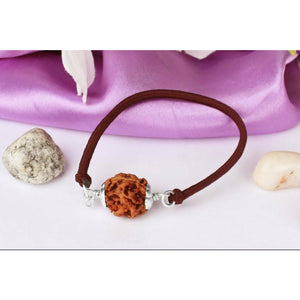 2-Augen Rudraksha (Nepal) für Einheit, bedingungslose Liebe & Harmonie