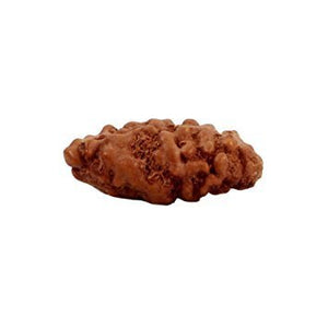 3-Augen-Rudraksha (Java) - Aktiviert und balanciert das innere Feuer