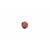 4-Augen-Rudraksha (Nepal) - Für klare Kommunikation & Verbindung von Wissen aller Art
