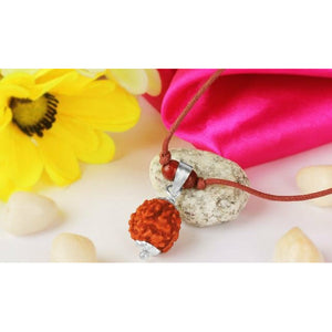 5-Augen Rudraksha (Java) - Balanciert die fünf Elemente aus