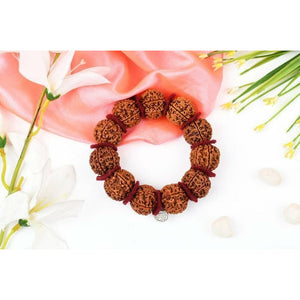 6-Augen-Rudraksha - Mars-Armband für Erdung und Glück (Nepal)