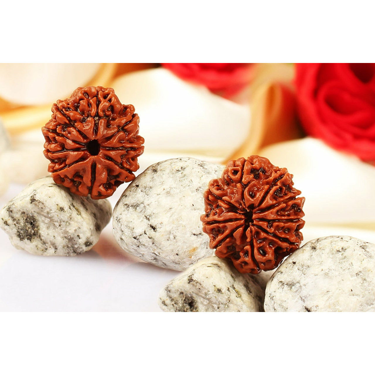 9-Augen-Rudraksha (Nepal) - Für innere Stärke und übernatürliche Wahrnehmung