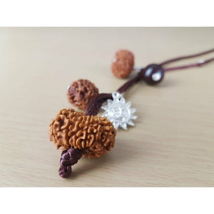 Rudraksha-Kombination - Anti-Stress und Klarheit (Nepal)