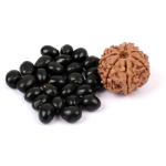 Lakshmi Wohlstandsbox - indische Chirma Perlen + 7 Augen-Rudraksha, in Messing-Dose