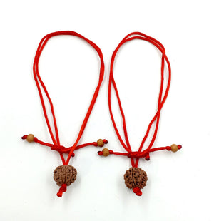 8-Augen-Rudraksha (Nepal) - Beseitigt Hindernisse, transformiert Negativität