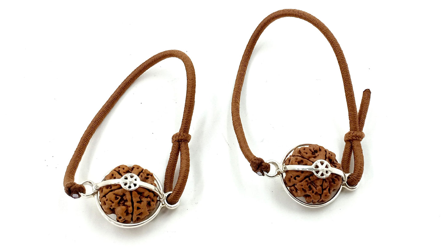 5-eye rudraksha (Nepal)-Jupiter bracelet in the silver basket