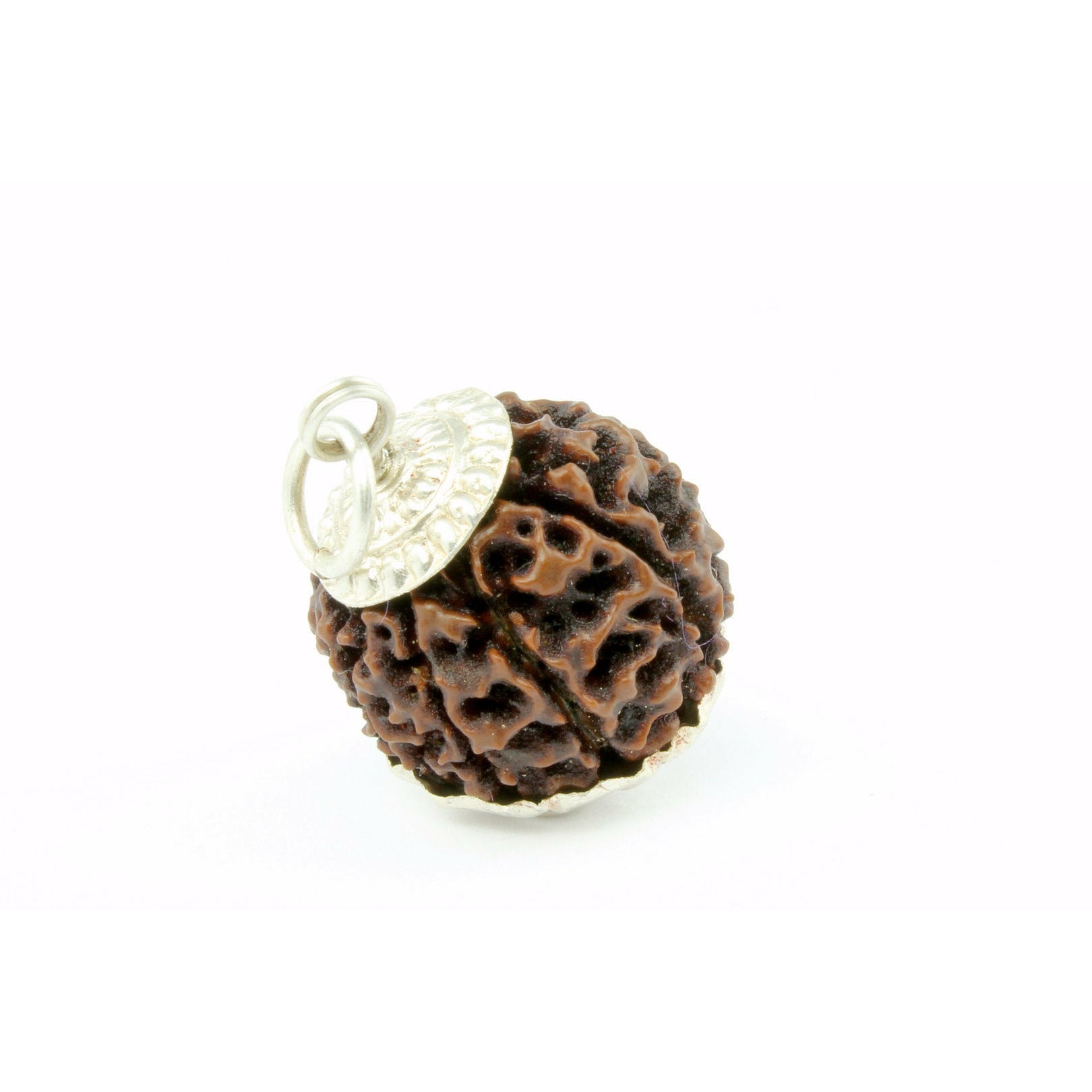 8-Augen-Rudraksha XXXL (Nepal/Rarität) - in Silber gefasst