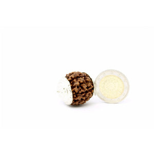 5-Augen Rudraksha (Nepal) - Balanciert die fünf Elemente