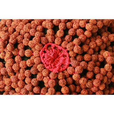 Capuchon de Rudraksha