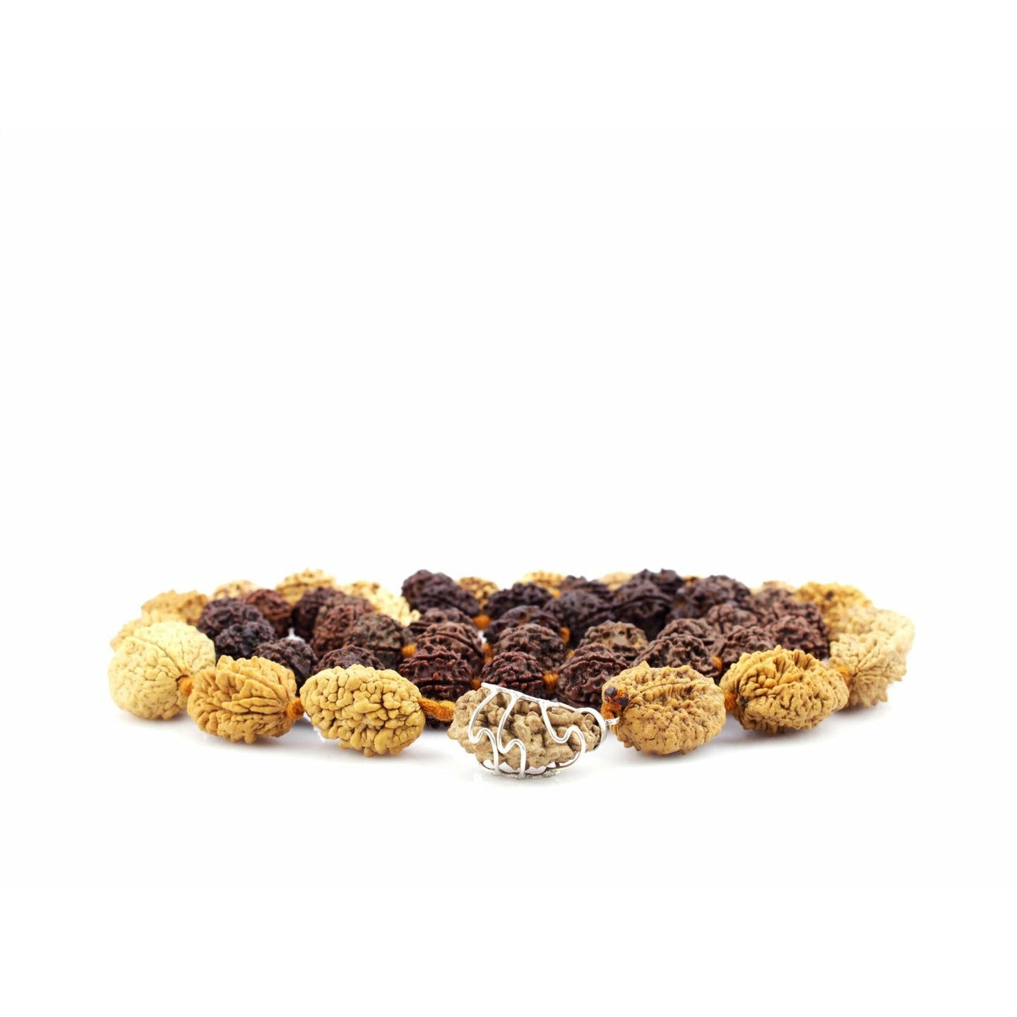 Siddha-Mala 1-6-eyes ruddraksha with silver (Nepal)