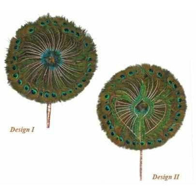 Hold black magic-peacock feather fan from India