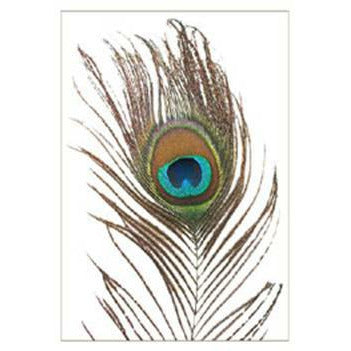 Peacock springs bundle