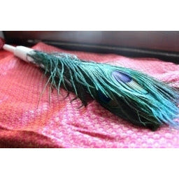 Peacock springs bundle