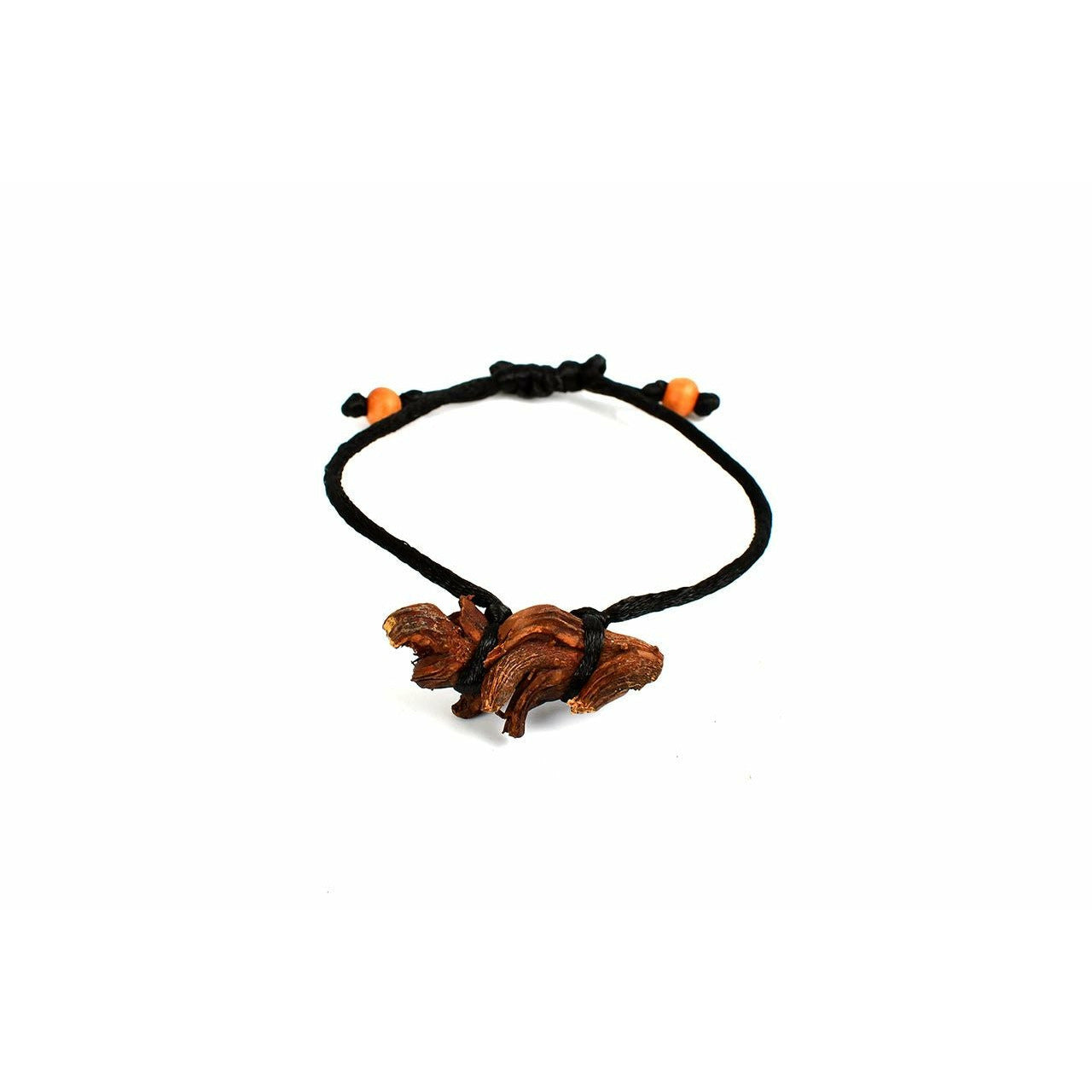 Indian root for horoscope