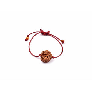 6-Augen-Rudraksha - (Nepal) - steigert Vertrauen, Willenskraft und schützt vor weltlicher Trauer