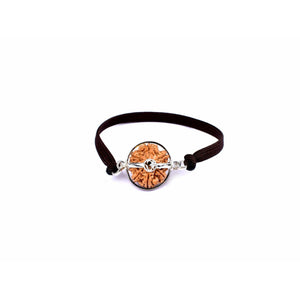8-Augen-Rudraksha (Nepal) - Beseitigt Hindernisse, transformiert Negativität