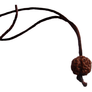 6-Augen-Rudraksha - (Nepal) - steigert Vertrauen, Willenskraft und schützt vor weltlicher Trauer