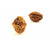 2-Augen-Rudraksha XXXL (Nepal) - für Einheit, bedingungslose Liebe und Harmonie