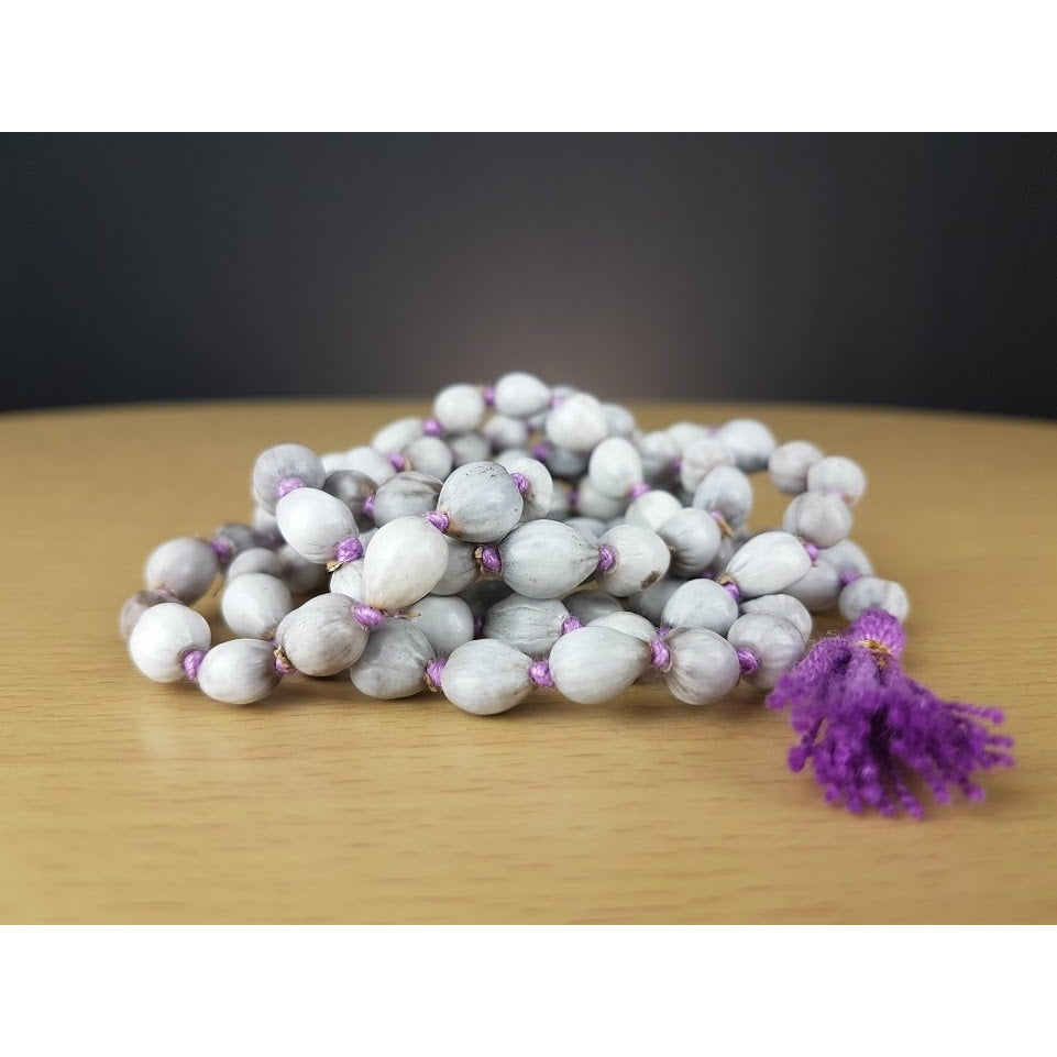 Vaijayanti Malas