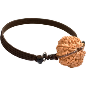 8-Augen-Rudraksha (Nepal) - Beseitigt Hindernisse, transformiert Negativität