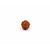 5-Augen Rudraksha (Nepal) - Balanciert die fünf Elemente