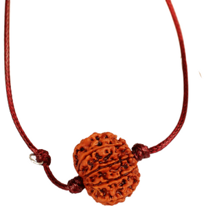 9-Augen-Rudraksha (Nepal) - Für innere Stärke und übernatürliche Wahrnehmung