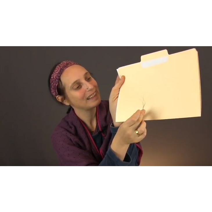 Sanjeevani - secret power object