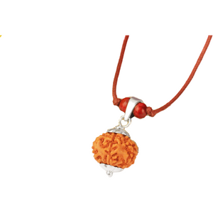 7-Augen-Rudraksha (Java) - für mehr Fülle, Reichtum & Leichtigkeit